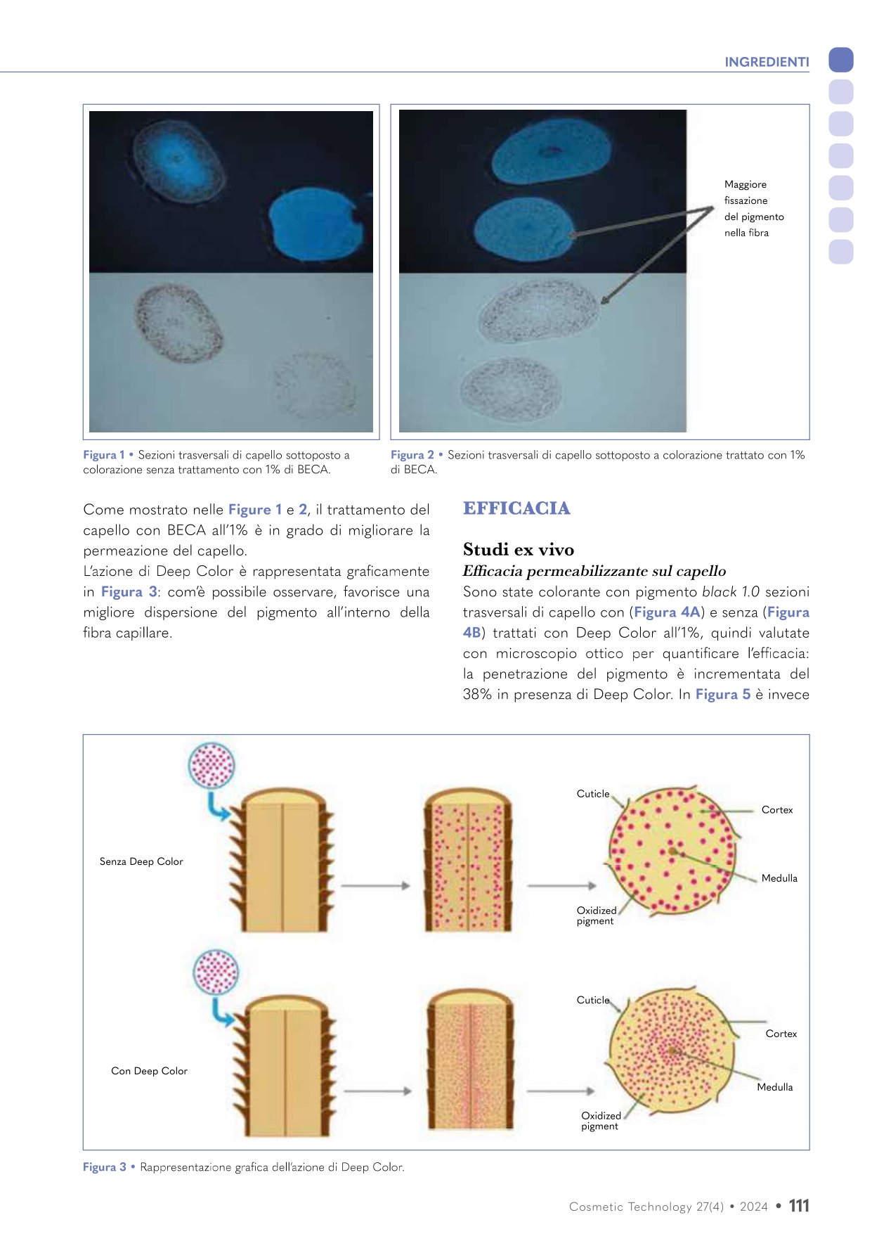 CT4_2024_Deep Color_page-0002