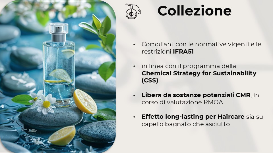 Diapositiva2
