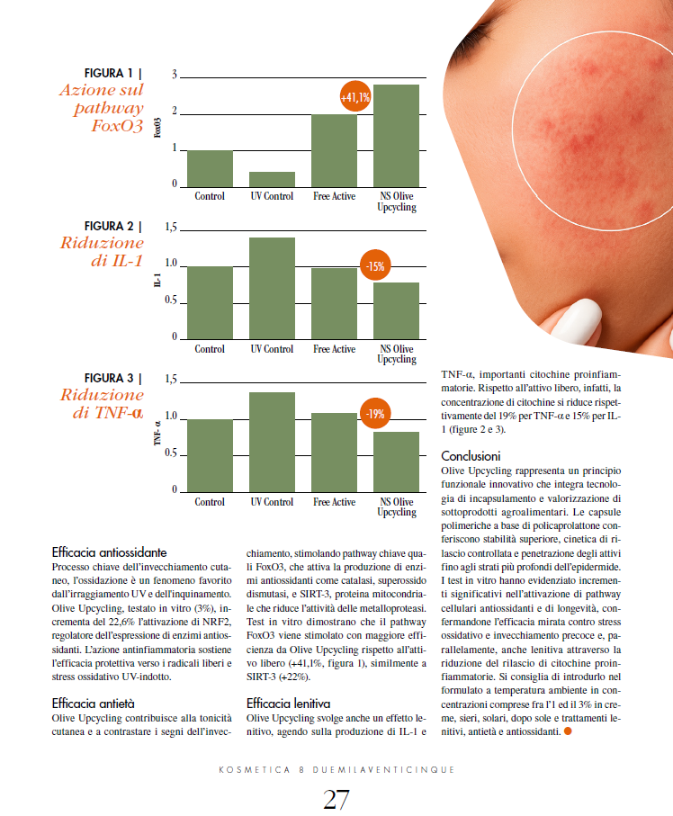 BETTECH -OLIVE UPCYCLING PAGINA 2