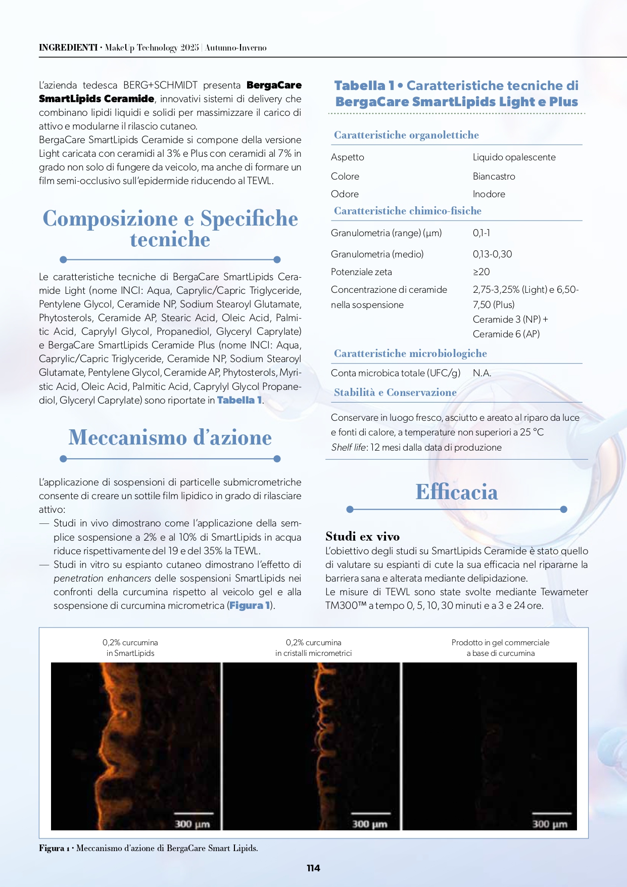 Bergacare Smart Ceramides - B&S_page-0003